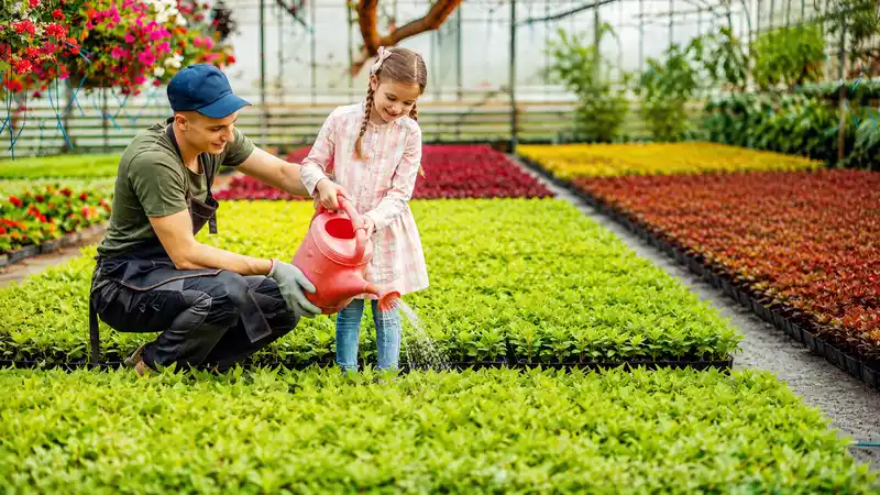 garden hacks decoradhouse